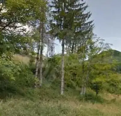 Photo 3 — Plot in Lovech, Ribarica