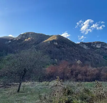 Photo 2 — Plot in Oblast Lovech, Ribarica