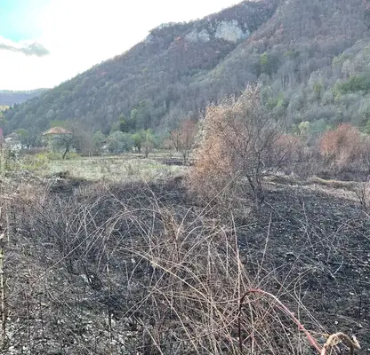 Photo 3 — Plot in Oblast Lovech, Ribarica