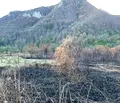 Снимка 5 — Парцел в Ловеч, с. Рибарица