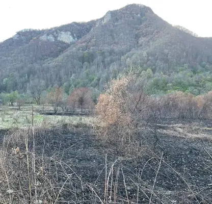 Photo 5 — Plot in Oblast Lovech, Ribarica