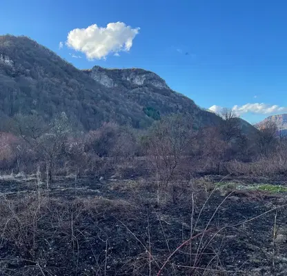 Photo 5 — Plot in Lovech, Ribarica