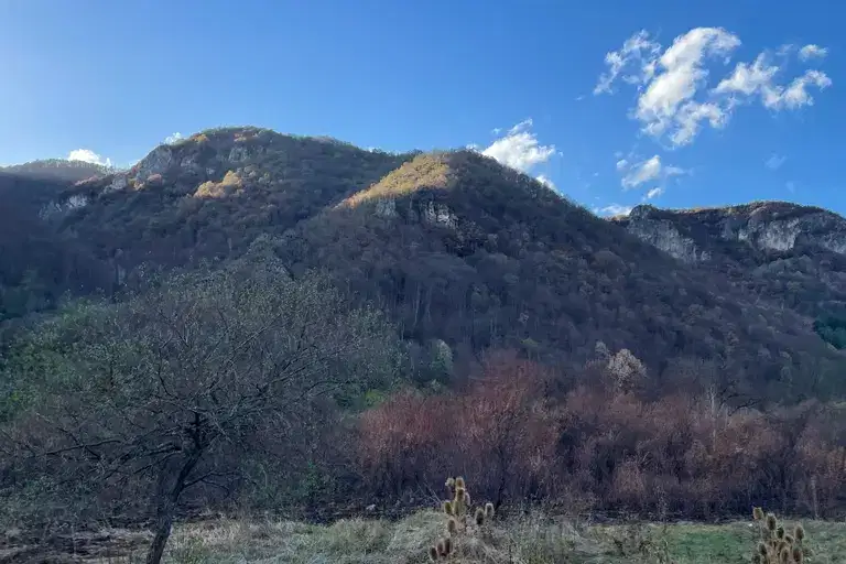 Plot in Oblast Lovech, Ribarica