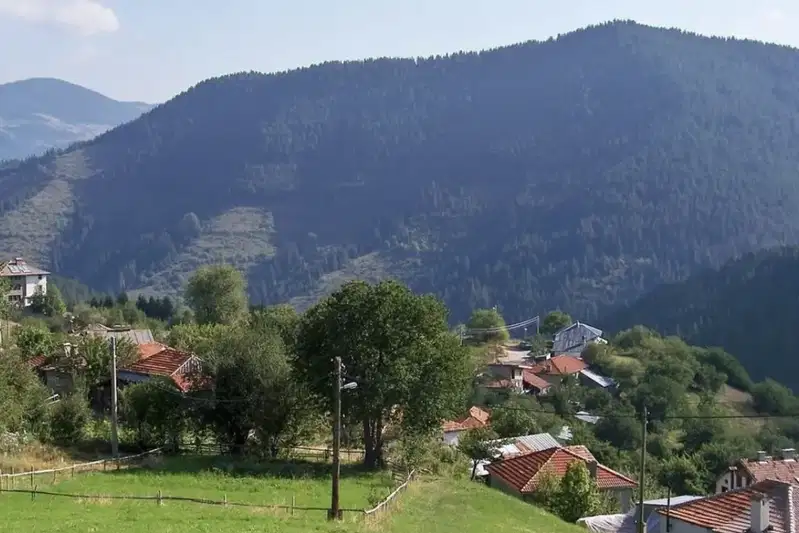 Plot in Oblast Pernik, Klenovik