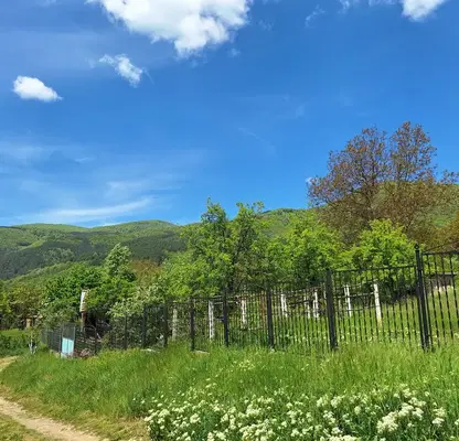 Photo 2 — Plot in Pernik, s. Nasalevtsi