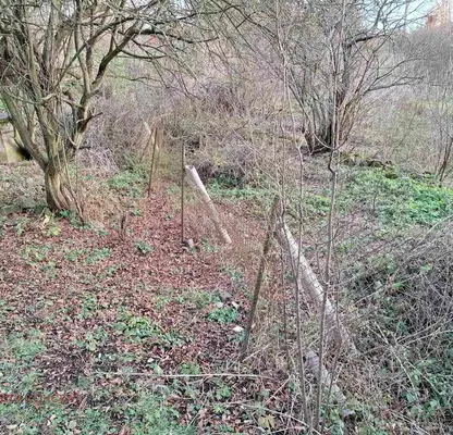 Photo 2 — Plot in Oblast Pernik, Slakovci
