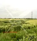 Парцел в Пловдив, Асенов