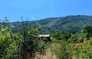 Парцел в Пловдив, Асенов