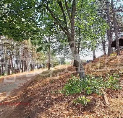 Снимка 4 — Парцел в Пловдив, с. Домлян