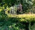 Снимка 4 — Парцел в Пловдив, с. Гълъбово