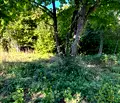 Снимка 5 — Парцел в Пловдив, с. Гълъбово