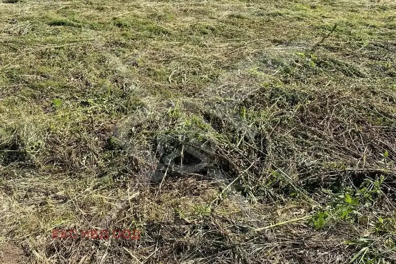 Plot in Plovdiv, Kostievo