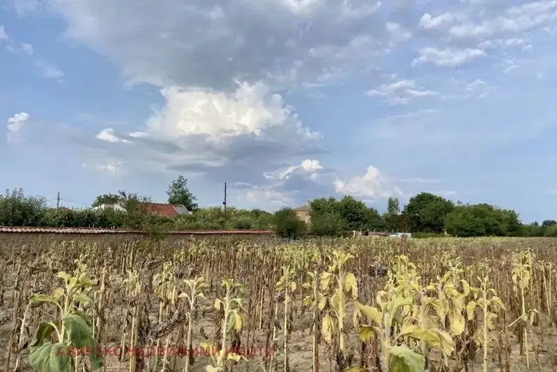 Парцел в Пловдив, с. Строево
