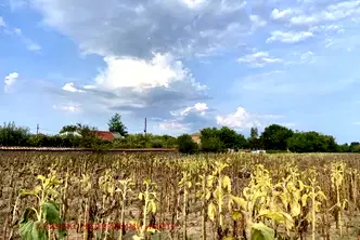 Парцел в Пловдив, с. Строево