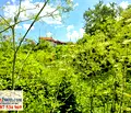 Снимка 4 — Парцел в Русе, с. Божичен