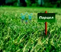 Снимка 2 — Парцел в Шумен, с. Илия Блъсково