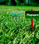Парцел в Шумен, с. Илия Блъсково