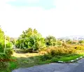 Снимка 4 — Парцел в Шумен, с. Каспичан