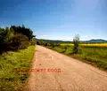 Снимка 4 — Парцел в София, Божурище