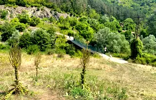 Парцел в София, с. Левище