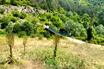 Парцел в София, с. Левище