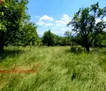 Снимка 3 — Парцел в София, с. Очуша