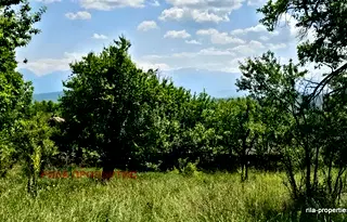 Парцел в София, с. Очуша