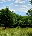 Парцел в София, с. Очуша