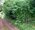 Снимка 2 — Парцел в София, с. Владо Тричков