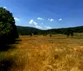 Снимка 3 — Парцел в Стара Загора, с. Колена