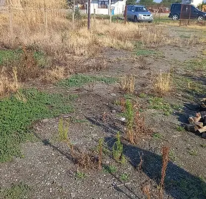 Photo 2 — Plot in Oblast Stara Zagora, Syrnevo