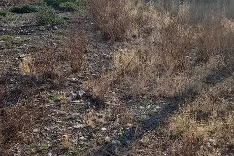 Парцел в Стара Загора, с. Сърнево