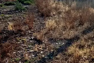 Парцел в Стара Загора, с. Сърнево