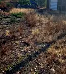 Парцел в Стара Загора, с. Сърнево