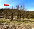 Снимка 2 — Парцел в Търговище, с. Марчино