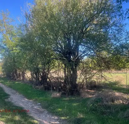 Photo 2 — Plot in Oblast Varna, Dobroplodno