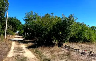 Парцел във Варна, с. Ветрино