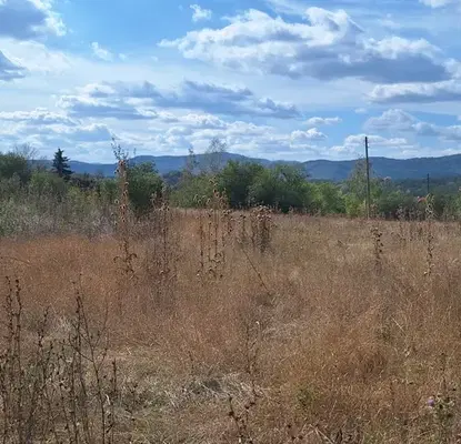Photo 2 — Plot in Oblast Veliko Tyrnovo, Elena