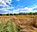 Снимка 5 — Парцел във Велико Търново, Елена
