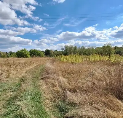 Photo 5 — Plot in Oblast Veliko Tyrnovo, Elena