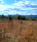 Парцел във Велико Търново, Елена