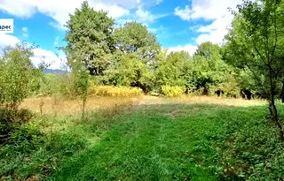 Парцел във Велико Търново, Елена