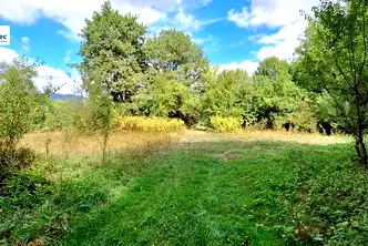 Парцел във Велико Търново, Елена