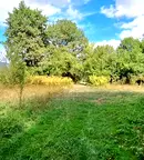 Парцел във Велико Търново, Елена