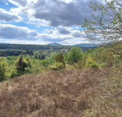 Photo 2 — Plot in Oblast Veliko Tyrnovo, Elena