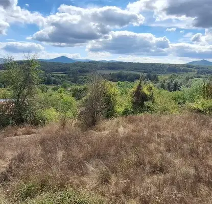 Photo 3 — Plot in Oblast Veliko Tyrnovo, Elena