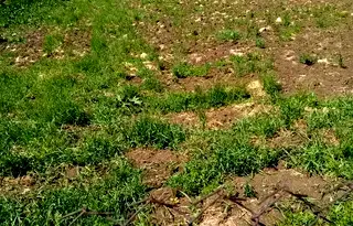 Парцел в Ямбол, с. Кукорево