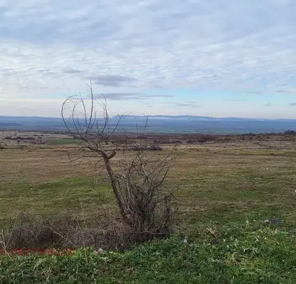 Photo 2 — Agricultural Land in Oblast Burgas, Kosharica