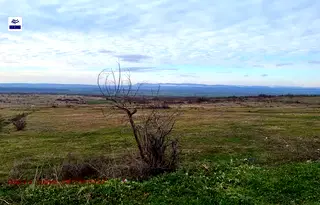 Земеделски имот в Бургас, с. Кошарица