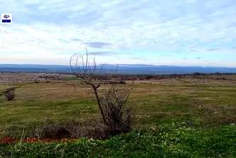 Земеделски имот в Бургас, с. Кошарица